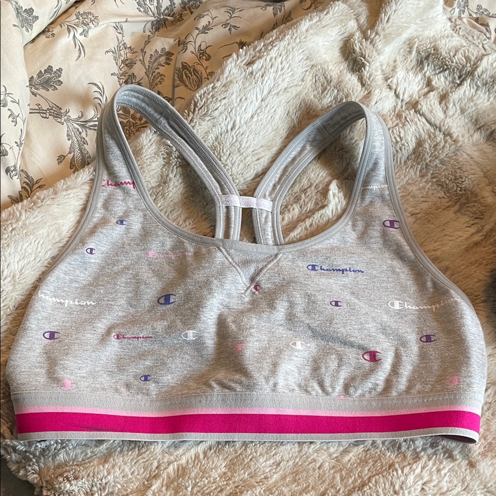 Champion Women's Gray Sports Bra with Pink and Purple Logo Design